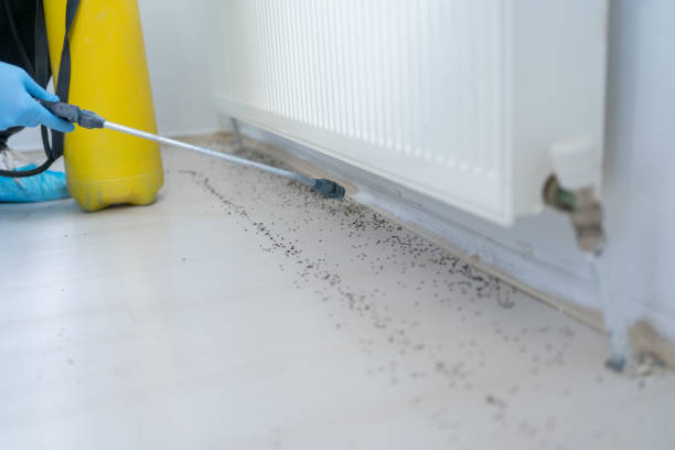 Best Pest Control Near Me in Franklin, KY